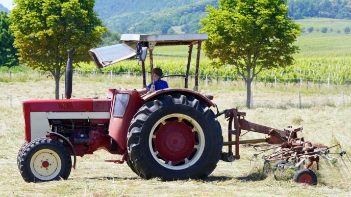 farm