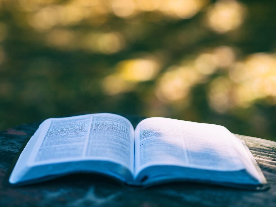 reading in the park