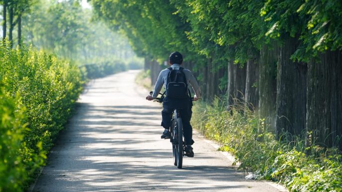 bicycle