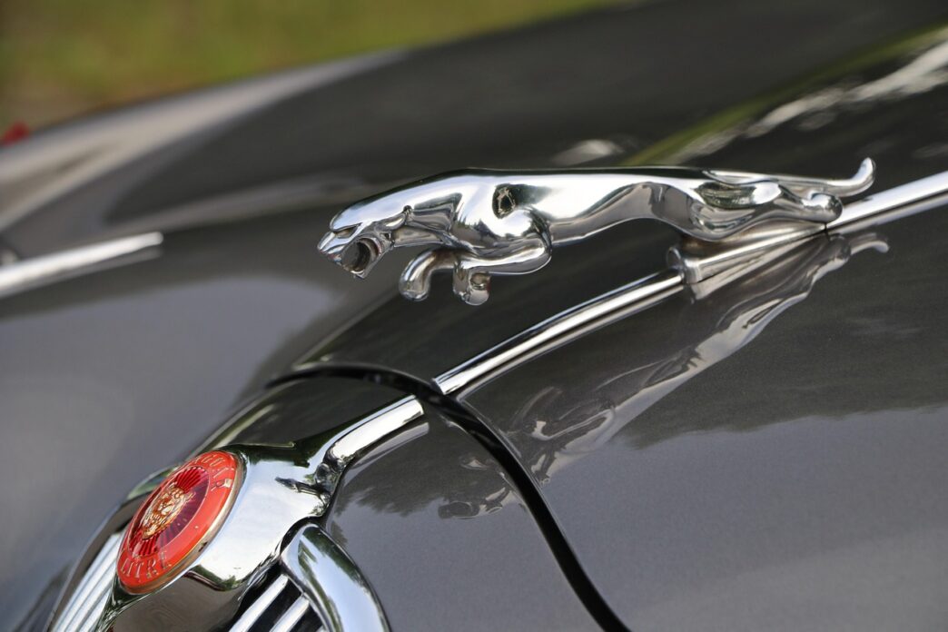 jaguar car