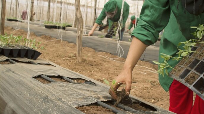 agriculture 2382185 1280