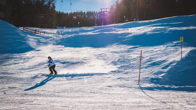 ski 1