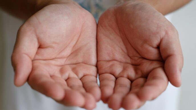 the palm of your hand 2704020 1280