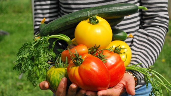 vegetables