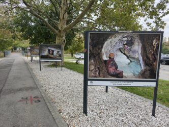 Razstava ob 50 letnici drustva