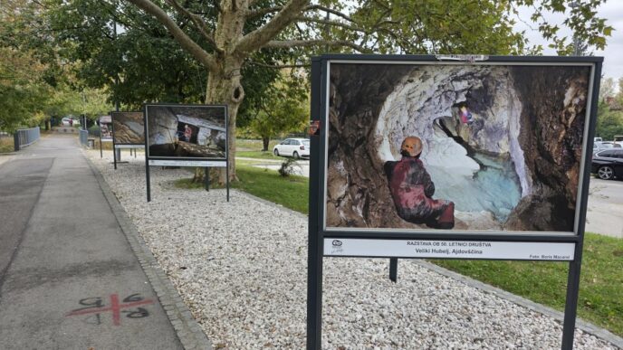 Razstava ob 50 letnici drustva