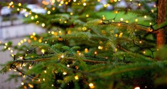 christmas tree