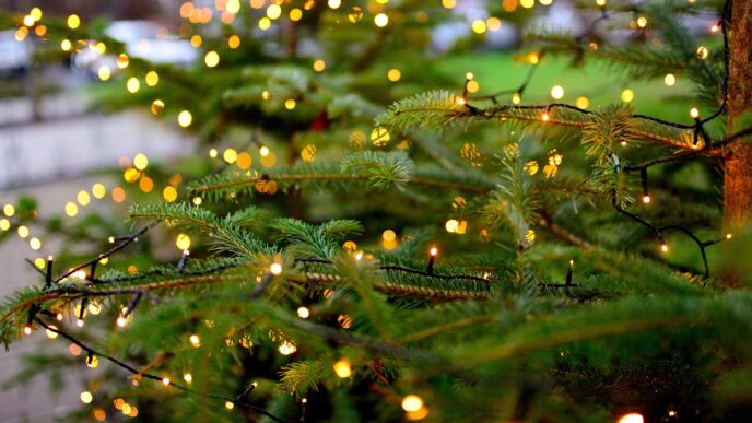 christmas tree