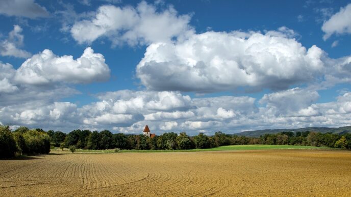land