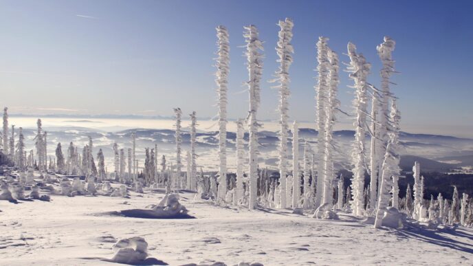 winter