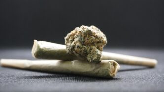 canabis marijuana bumps 8054140 1920