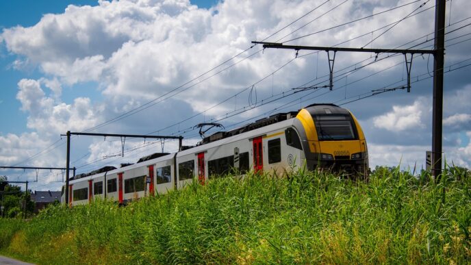 train