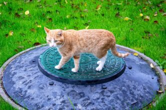 sewerage
