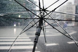 umbrella