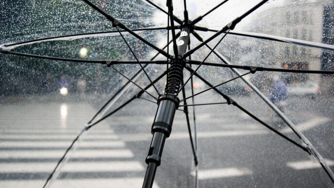 umbrella
