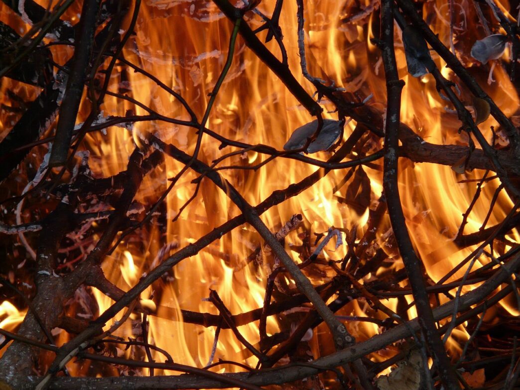 burning branches