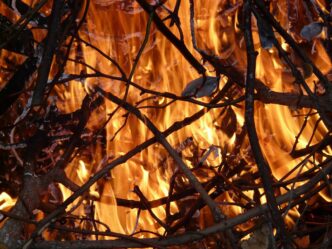 burning branches