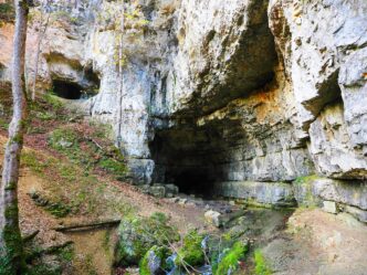 cave saveing