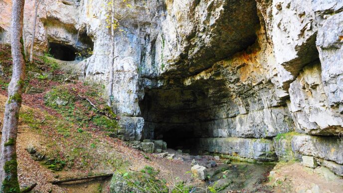 cave saveing