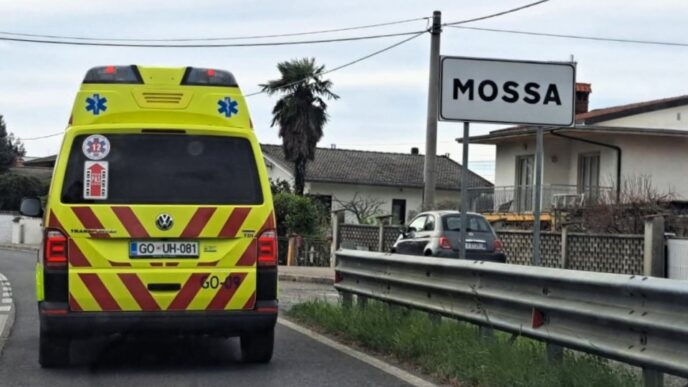 resilec vir Obcina Ajdovscina