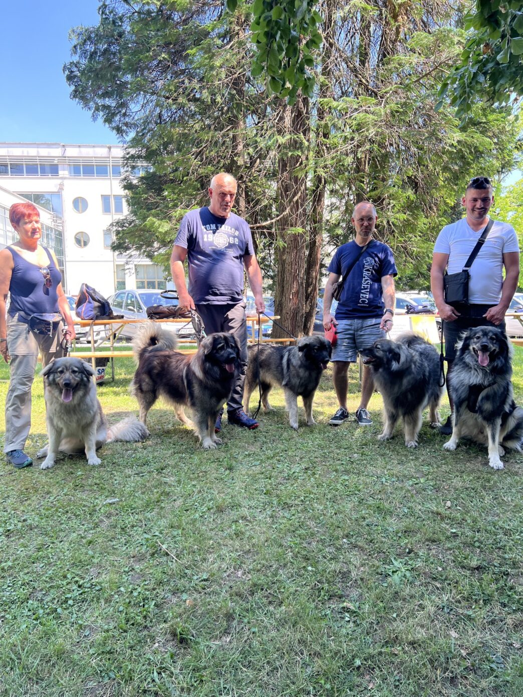 festival nova gorica vir fb