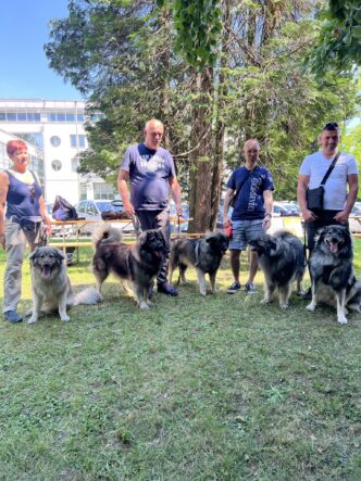 festival nova gorica vir fb