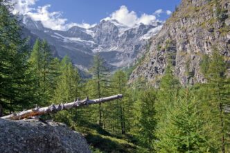 gran paradiso