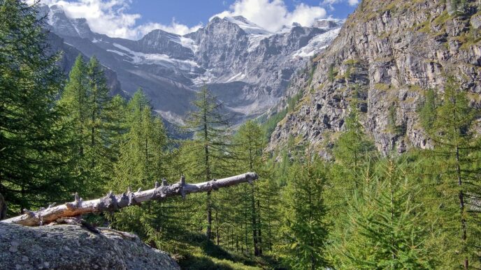 gran paradiso
