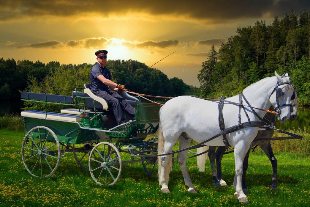carriage