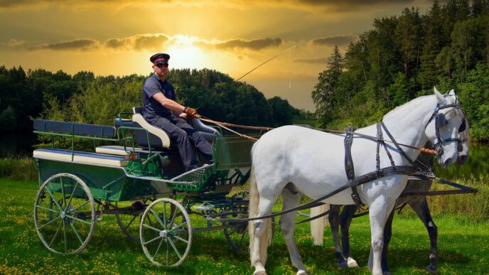 carriage