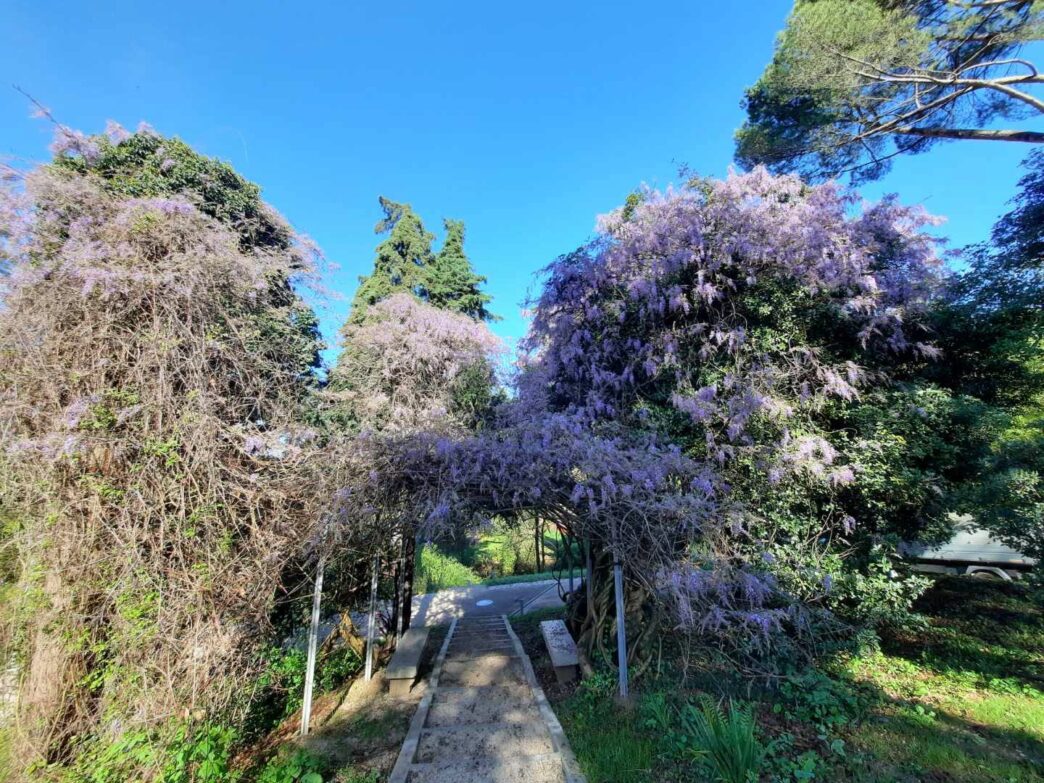 park v Novi Gorici mong